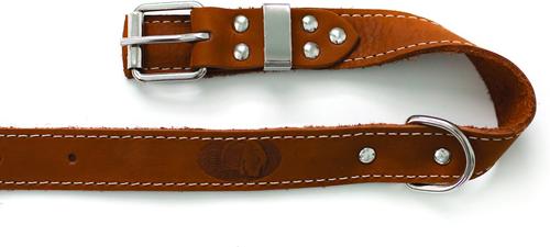 Show full view: Euro-Dog Traditional Leather Dog Collar, Bark Brown, XX-Large: 19 to 25-in neck slide 3 of 7