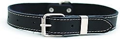 Euro-Dog Traditional Leather Dog Collar, Black, XX-Large: 19 to 25-in neck