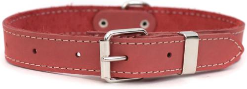 Show full view: Euro-Dog Traditional Leather Dog Collar, Coral, Small: 12 to 15-in neck slide 1 of 6