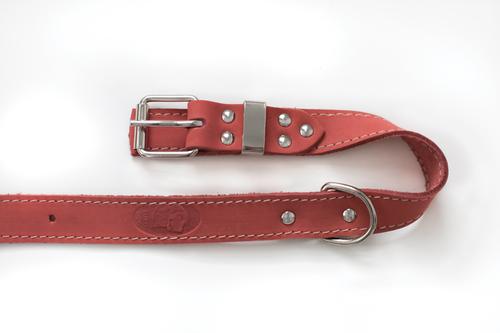 Show full view: Euro-Dog Traditional Leather Dog Collar, Coral, Small: 12 to 15-in neck slide 3 of 6
