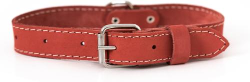 Show full view: Euro-Dog Traditional Leather Dog Collar, Coral, X-Large: 17 to 23-in neck slide 1 of 7