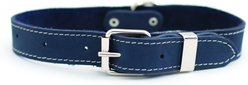 Euro-Dog Traditional Leather Dog Collar, Navy, Medium: 13 to 17-in neck