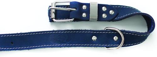 Show full view: Euro-Dog Traditional Leather Dog Collar, Navy, X-Small: 9 to 11-in neck slide 3 of 7