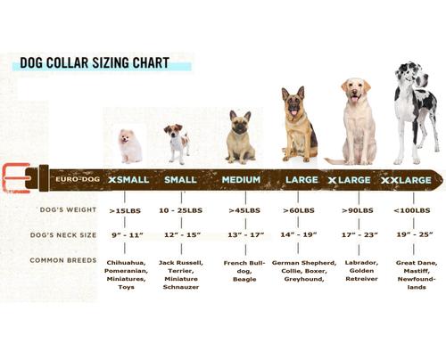 Show full view: Euro-Dog Traditional Leather Dog Collar, Tan, X-Large: 17 to 23-in neck slide 2 of 7