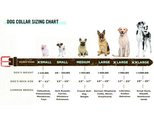 Show full view: Euro-Dog Traditional Leather Dog Collar, Tan, X-Large: 17 to 23-in neck slide 5 of 7