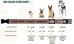 Euro-Dog Waterproof Quick Release PVC Dog Collar, Navy, Large: 15 to 23-in neck slide 2 of 4