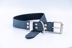 Euro-Dog Zen Style Leather Dog Collar, Blue Jeans, Medium slide 2 of 5