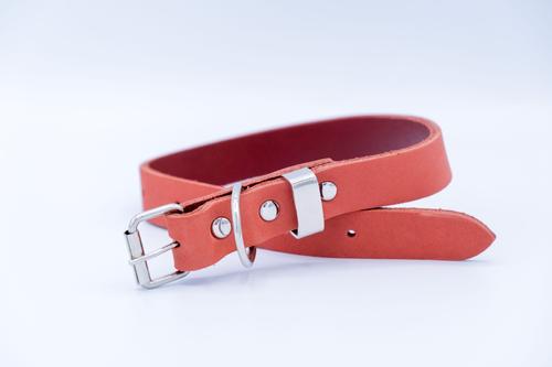 Show full view: Euro-Dog Zen Style Leather Dog Collar, Coral Reef, X-Small slide 2 of 7