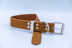 Euro-Dog Zen Style Leather Dog Collar, Earth Brown, Large slide 2 of 5