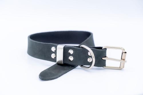 Show full view: Euro-Dog Zen Style Leather Dog Collar, Midnight Black, Large slide 2 of 7
