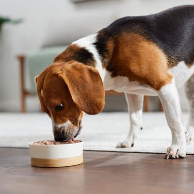 Show full view: Evanger's Chicken & Rice Dinner Gluten-Free Wet Dog Food, 20.2-oz can, case of 12 slide 6 of 6