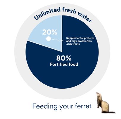 Show full view: Evanger's Chicken Wet Ferret Food, 6-oz can, case of 12 slide 8 of 9