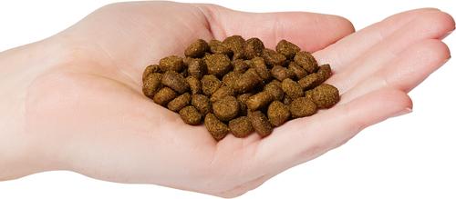 Show full view: Evanger's Grain-Free Chicken with Sweet Potato & Pumpkin Recipe Dry Dog Food, 16.5-lb bag slide 4 of 5