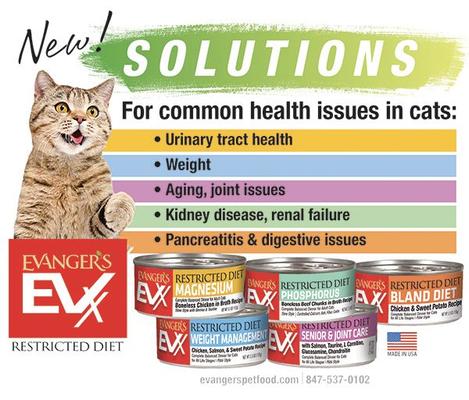 Show full view: Evanger's EVX Restricted Diet Low Phosphorus Beef Chunks in Broth Recipe Canned Cat Food, 5-oz, case of 24 slide 6 of 9