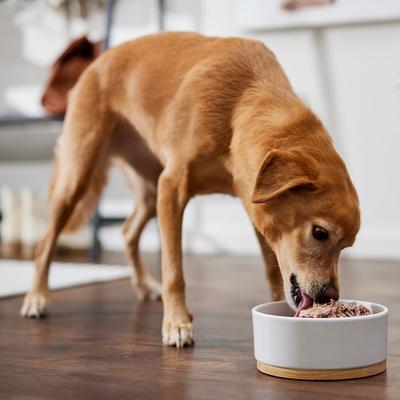 Show full view: Evanger's Grain-Free Hand Packed Hunk of Beef Canned Dog Food, 12-oz, case of 12 slide 6 of 8