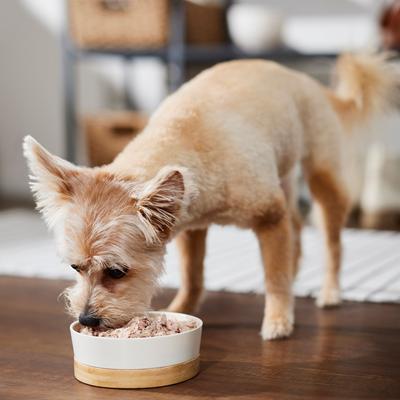 Show full view: Evanger's Grain-Free Hand Packed Whole Chicken Thighs Canned Dog Food, 12-oz, case of 12 slide 6 of 8