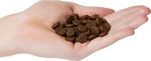 Show full view: Evanger's Grain-Free Whitefish & Sweet Potato Recipe with Salmon Meal Dry Dog Food, 30-lb bag slide 4 of 8