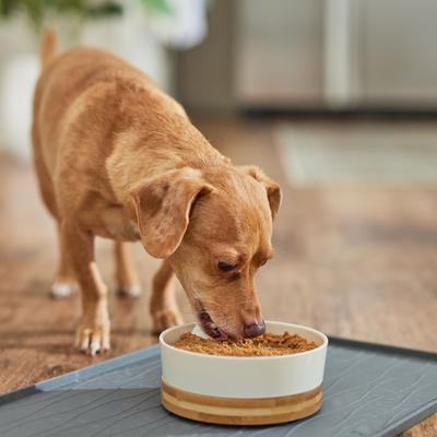 Show full view: Evanger's Low Fat Vegetarian Dinner Canned Dog & Cat Food, 12.8-oz, case of 12 slide 9 of 10