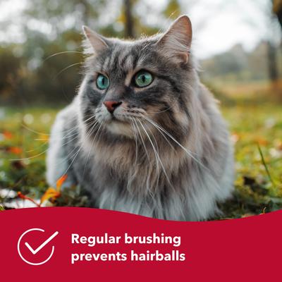 Show full view: Evolution Self-Cleaning Dog Slicker Brush, X-Small slide 3 of 6