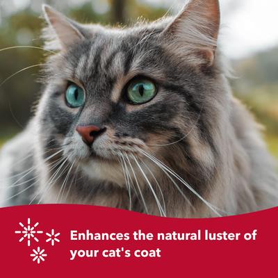 Show full view: Evolution Shed Magic De-Shedding Dog Grooming Tool, Small slide 4 of 6