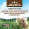 Show in main carousel: Evolve Chicken, Pea, & Sweet Potato Recipe Kitten Formula Grain-Free Dry Kitten Food, 2.75-lb bag slide 5 of 11