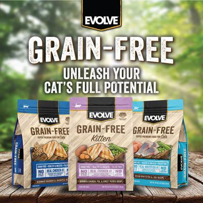 Show full view: Evolve Chicken, Pea, & Sweet Potato Recipe Kitten Formula Grain-Free Dry Kitten Food, 2.75-lb bag slide 6 of 11
