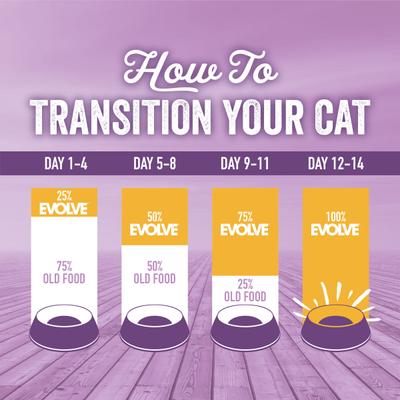 Show full view: Evolve Chicken, Pea, & Sweet Potato Recipe Kitten Formula Grain-Free Dry Kitten Food, 2.75-lb bag slide 10 of 11