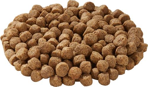 Show full view: Evolve Classic Deboned Beef, Barley & Brown Rice Recipe Dry Dog Food, 30-lb bag slide 3 of 10