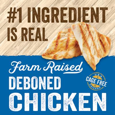 Show full view: Evolve Classic Deboned Chicken & Brown Rice Recipe Dry Cat Food, 15-lb bag slide 4 of 11