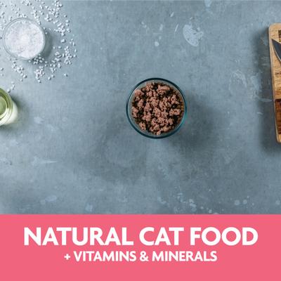 Show full view: Evolve Evolve Classic Crafted Meals Salmon Recipe Pate Wet Cat Food, 3.5-oz can, case of 15 slide 10 of 11