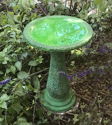 Exaco Bird Bath, 1.3-gal, Dark/Light Green slide 2 of 6