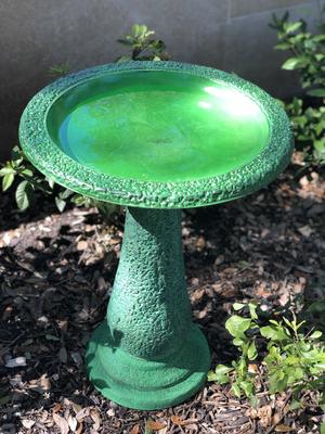 Show full view: Exaco Bird Bath, 1.3-gal, Dark/Light Green slide 3 of 7