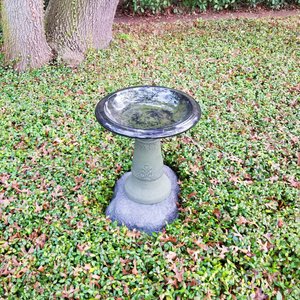 Exaco Florentine Marbleized Bird Bath, 2-gal, Green