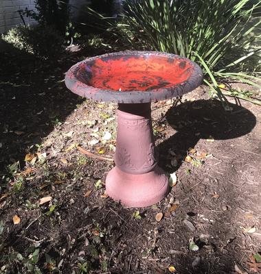 Show full view: Exaco Scroll Vine Marbleized Bird Bath, 2-gal slide 4 of 5
