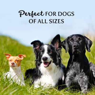 Show full view: Exclusively Dog Best Buddy Bones Beef & Liver Flavor Dog Treats, 5.5-oz bag slide 6 of 6