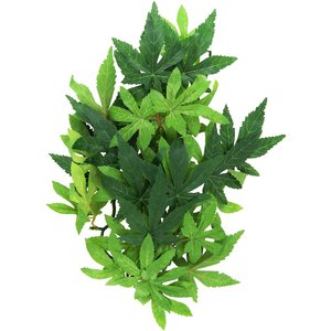 Exo Terra Abutilon Silk Plant, Medium