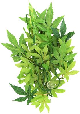 Show full view: Exo Terra Abutilon Silk Plant, Medium slide 2 of 4