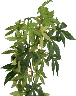 Show full view: Exo Terra Abutilon Silk Plant, Small slide 6 of 10