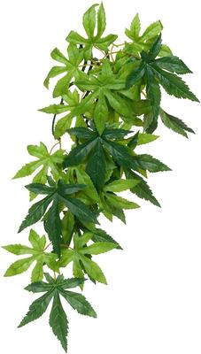 Show full view: Exo Terra Abutilon Silk Plant, Small slide 3 of 10