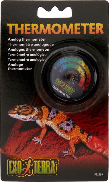 Exo Terra Analog Thermometer for Reptiles