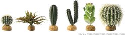 Exo Terra Barrel Cactus Reptile Terrarium Plant, Medium slide 2 of 2