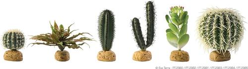 Show full view: Exo Terra Barrel Cactus Reptile Terrarium Plant, Medium slide 2 of 3