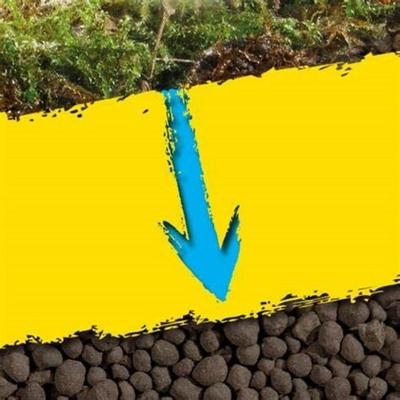 Show full view: Exo Terra Bioactive Volcanic Reptile Substratum, 4-kg bag slide 7 of 10