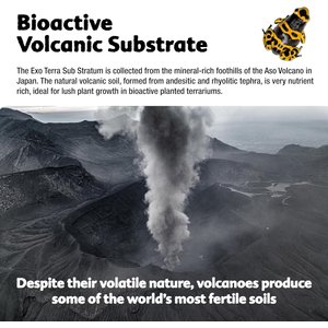 Exo Terra Bioactive Volcanic Reptile Substratum, 4-kg bag