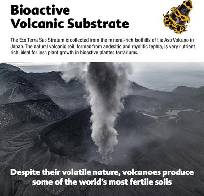 Show full view: Exo Terra Bioactive Volcanic Reptile Substratum, 4-kg bag slide 4 of 10