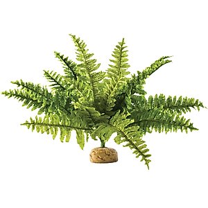 Exo Terra Boston Fern Rainforest Reptile Terrarium Plant, Medium