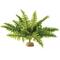 Show in main carousel: Exo Terra Boston Fern Rainforest Reptile Terrarium Plant, Medium slide 1 of 3
