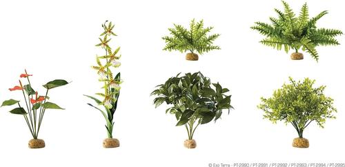 Show full view: Exo Terra Boston Fern Rainforest Reptile Terrarium Plant, Medium slide 2 of 3