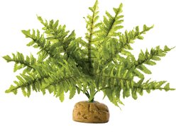 Exo Terra Boston Fern Rainforest Reptile Terrarium Plant, Small