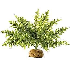 Exo Terra Boston Fern Rainforest Reptile Terrarium Plant, Small